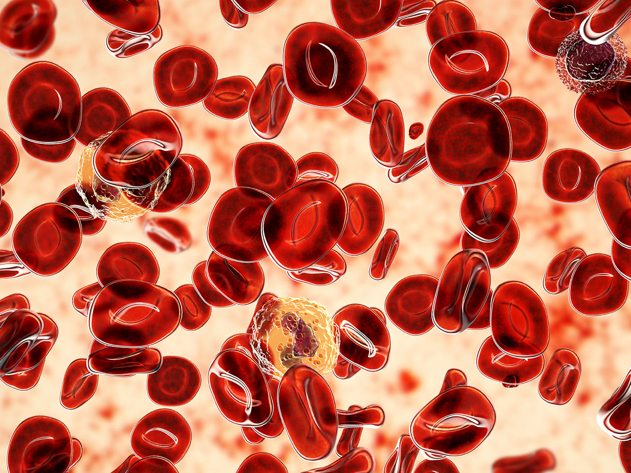 Mikroskopowe Badanie Żywej Kropli Krwi w HOLISTIC MED